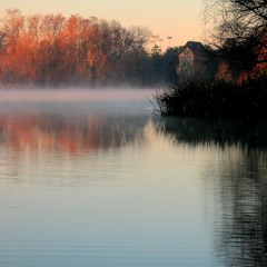 to drown in lake alice