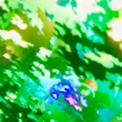 Duzi (Prod. Litsavageboy)