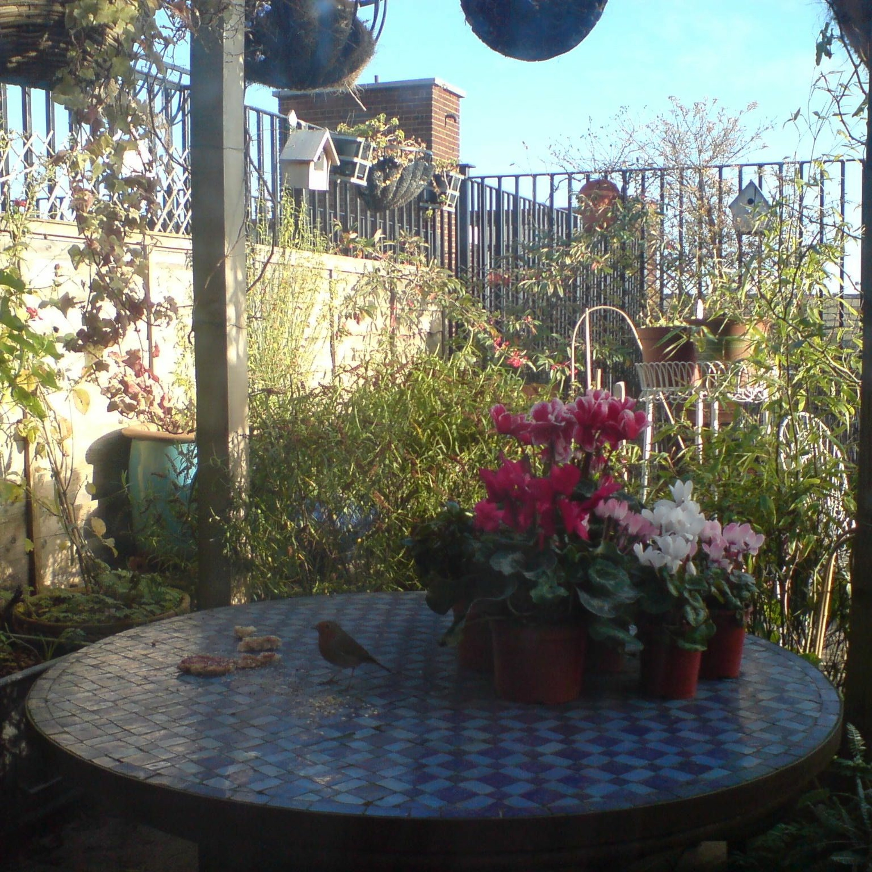 carol@carolgrimes.com