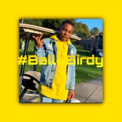 Hide N Seek (BALL4BIRDY)