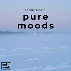 Teddy Beats - Pure Moods