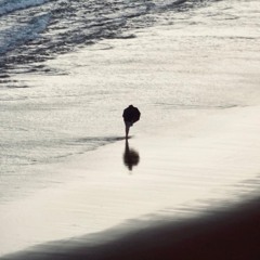 Antes de Morirme x Saint Pablo x Back to Me - Rosalía, Kanye West, Ty Dolla $ign