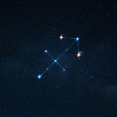 Dima: Roots Library (2024-2025)