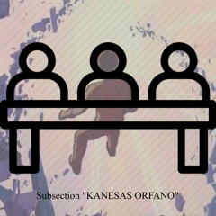 Committee Report 2: Subsection "Kanesas Orfano"