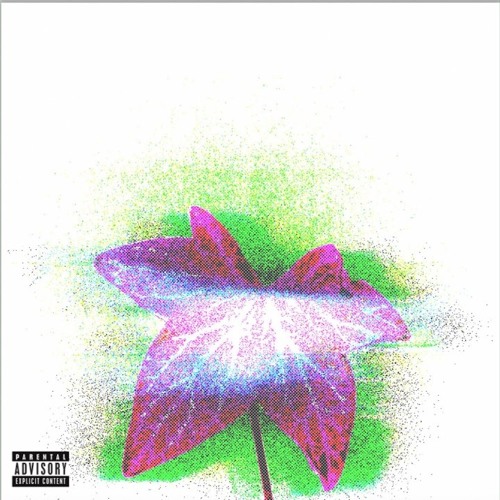 Ivy