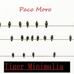 Paco Moro -Tiger Minimalia  ( Free Download)