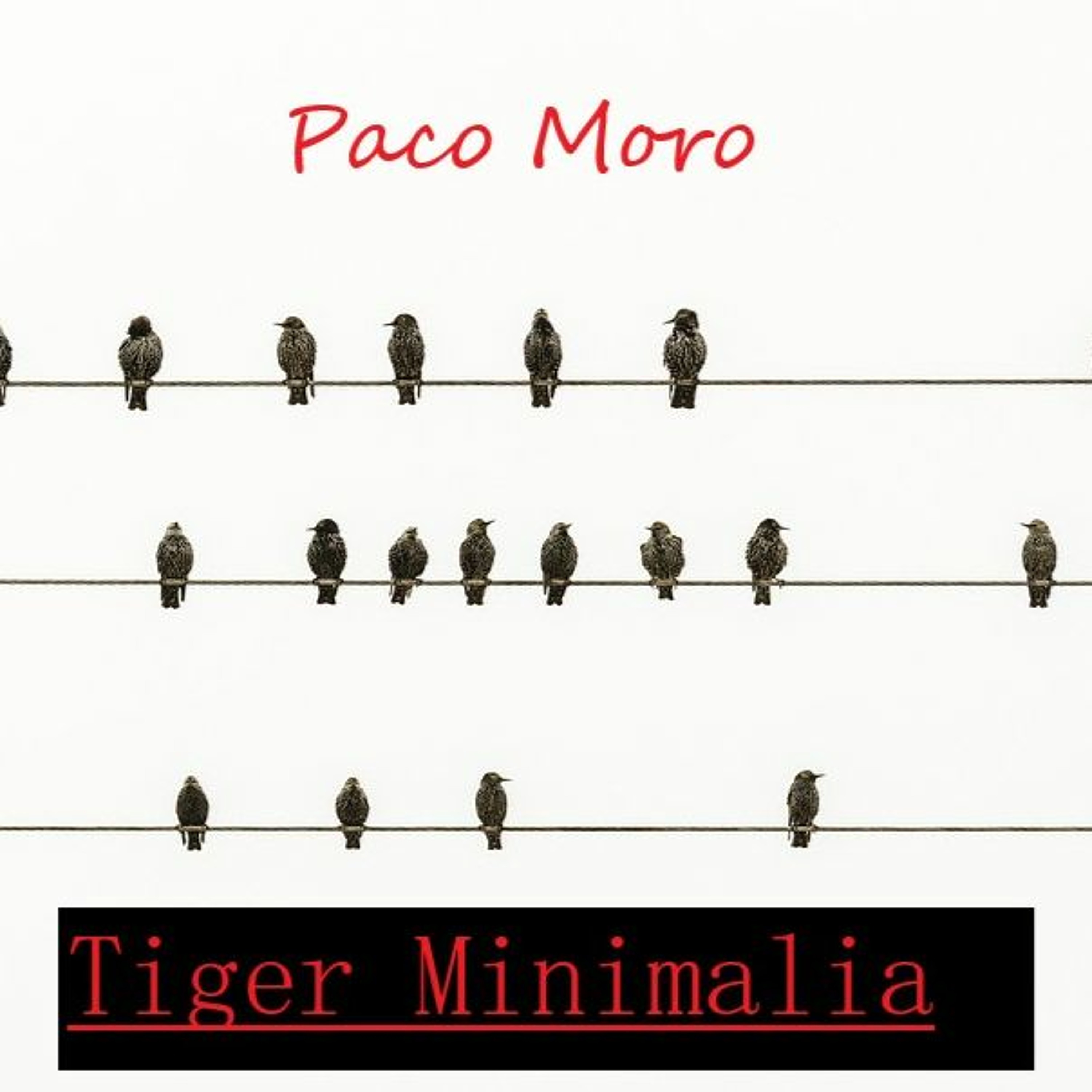 Portada de Tiger Musik