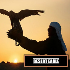 RONIN SHADOWS - DESERT EAGLE  ( BETA LIVE RECORDING NO MIX NO MASTER )