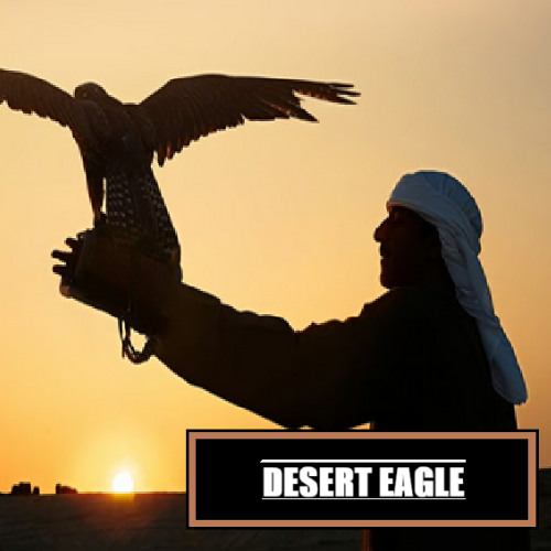 RONIN SHADOWS - DESERT EAGLE  ( BETA LIVE RECORDING NO MIX NO MASTER )