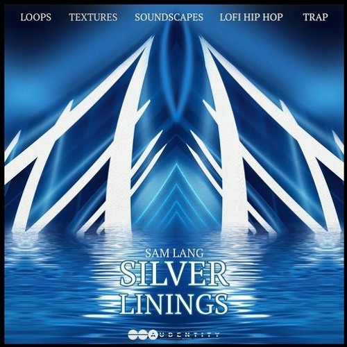 Audentity Records Sam Lang Silver Linings WAV-DECiBEL