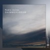 Pedro Aviles - Shimmerdream (Original Mix) [Tanzgemeinschaft]