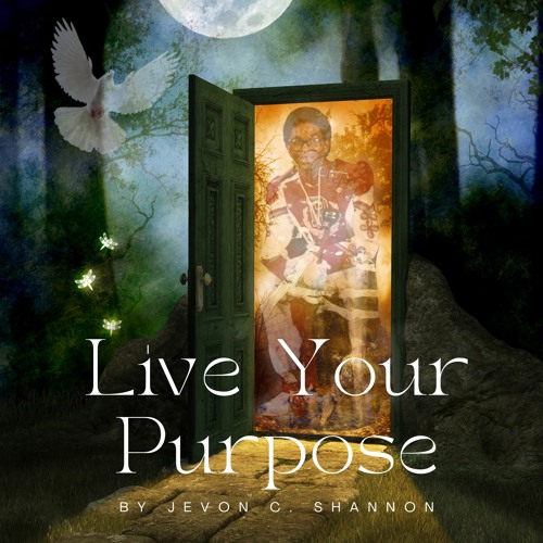 Find Your Purpose By Jevon Shannon