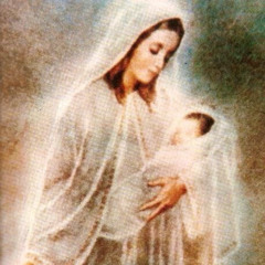 lontano - k56 i float