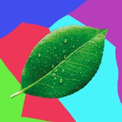 Breathing Leaf