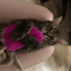 само зло (yui;seven)