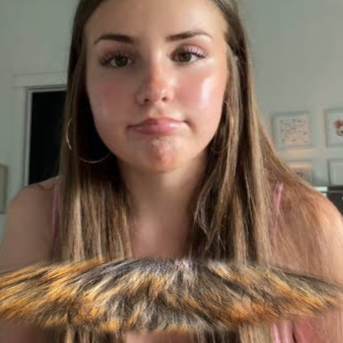 Piper Rockelle Link Full Video