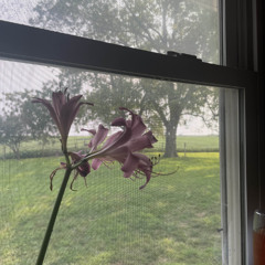 the person i wanna be