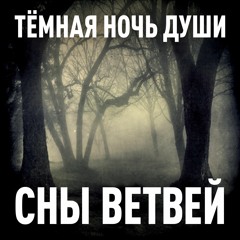 Тёмная ночь души