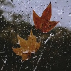 Lonely Leaf - Improvised Piano Piece