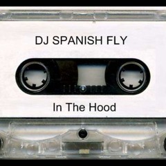 D.J. Spanish Fly - Do Or Die