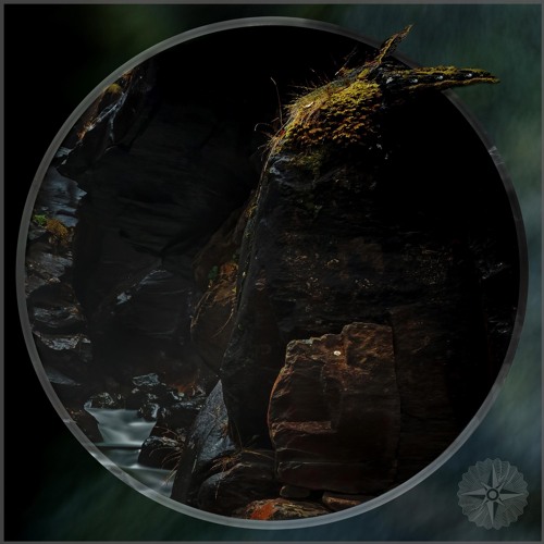 Indefinite Pitch PREMIERES. Kalumet - The Fish Knows Everything (Hydrous Remix) [Navigare Audio]