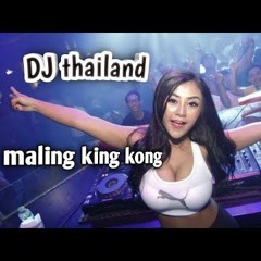 dj thailand maling kingkong - JUNGLE DUTCH 2020