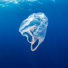 Sonata Para Bolsa De Plástico