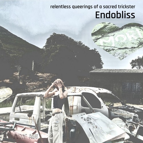 Endobliss [22.01.25]
