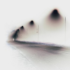 The Loops