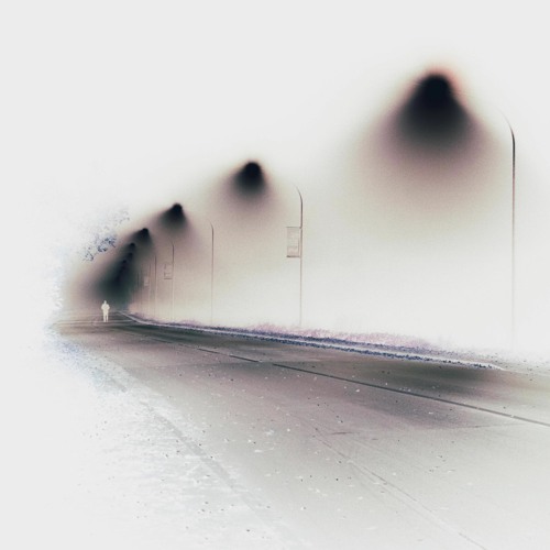 The Loops