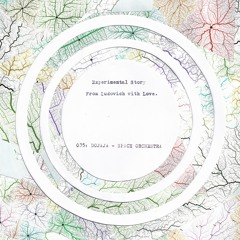 Experimental Story 035: Dojaja - Space Orchestra