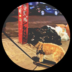 [PREMIERE] Highdration (Spreequell Mix) - 94th Century | Not On Label [2025]