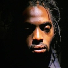 Gangstas Paradise#HIPHOP