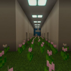 ENDERGIRL SPRING WEATHER MIX 2026
