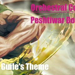 Street Fighter - Guile's Theme - Orchestral Cover By Peshtiwar Botani