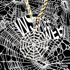 vvs spiderweb (p. kier)
