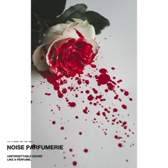 Noise Parfumerie - Transaction