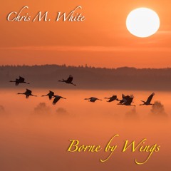 Borne by Wings