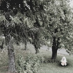 s.s. dolphin