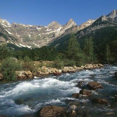 CINCA