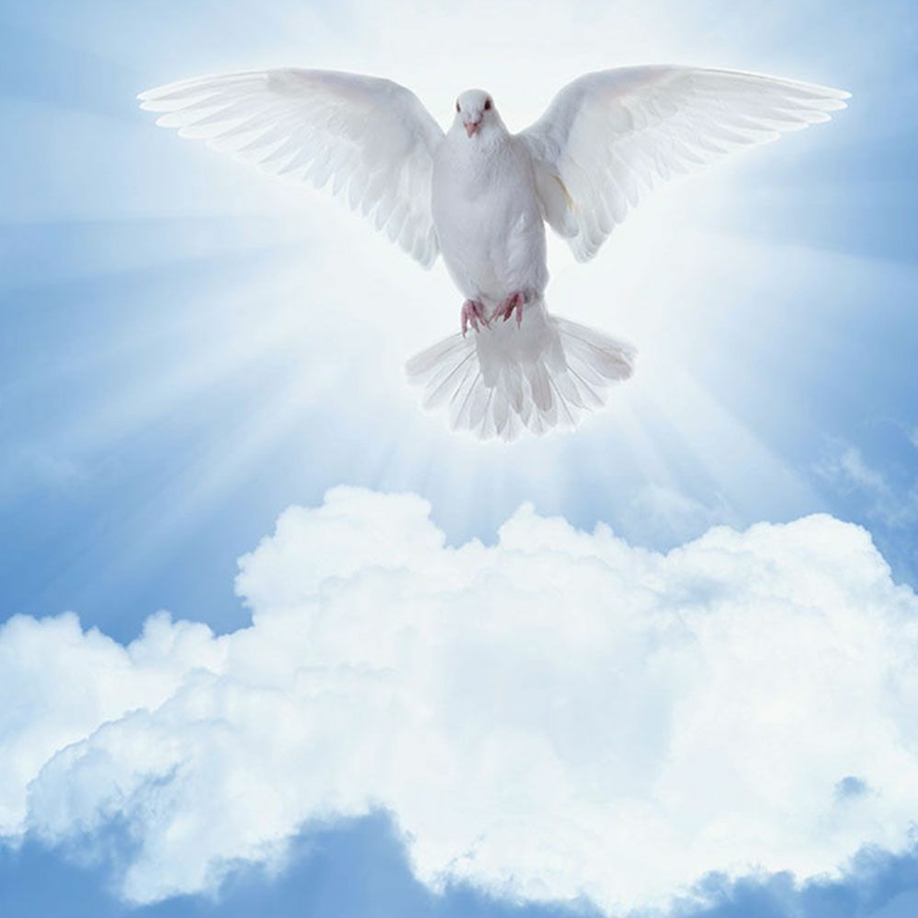 Celebrating Pentecost in China episode artwork