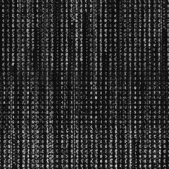 Program