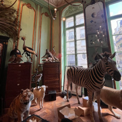 DIALRYCKX - Séquelles @elqntrd