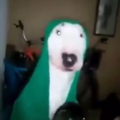 IFUCKALOT