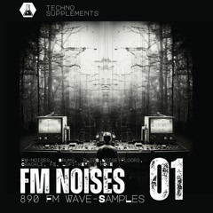 TS - FM - NOISES - 01 DEMO- (1)