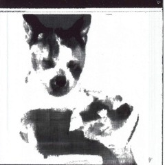 Leninghaus #2 (08/05/25)