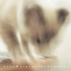 piece of wick alight in a pine