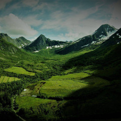 “an ecological echo”  live I a bachelor university exam performance