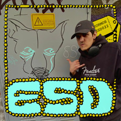 Kormos | ESD022