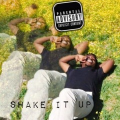 Shake it up by(Masiv De Wonderful Son ft BhuT-MiLa & Hastyanerd)
